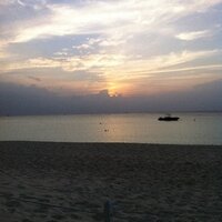 Anthony Bruster (@akbruster) 's Twitter Profile