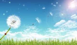 [قل سبحان الله وبحمده سبحان الله العظيم] حساب متواضع للقلوب المحلقه في حلق القرءان لنكون معاً هنا وفي الجنه بإذن الله حيث تكتمل الأمنيات