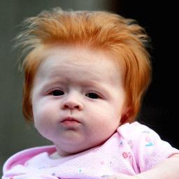 I am the spawn of Ed Sheeran and Ginger Spice. Follow me in all my Red misery .... tweet me about your ginger problems/ jokes ill retweet the best!
