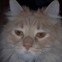 Eric Robidoux - @robidoux_eric - Twitter