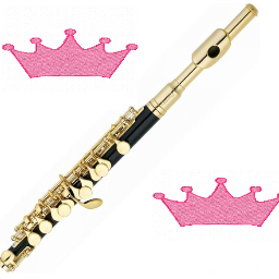 I have 99 problems and ALL of them have to do with my piccolo.