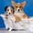 petspasalon's profile image