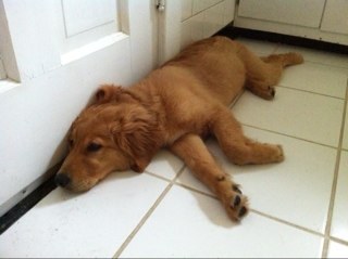 RunDMC85's profile picture. 