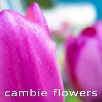 Cambie Flowers(@CambieFlowers) 's Twitter Profile Photo