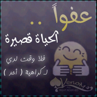 so_____na's profile picture. 