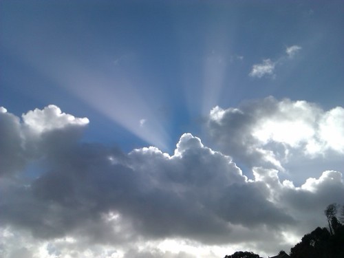 Rosethorn_911's profile picture. looking forward to tomorrow, where did yesterday go?