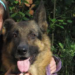 natysja99's profile picture. 