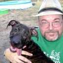 Bruce Hutton - @BruceAHutton - Twitter