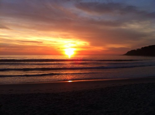 maranferna's profile picture. 