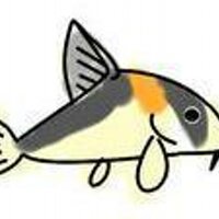 ababaya (@ababaya) 's Twitter Profile