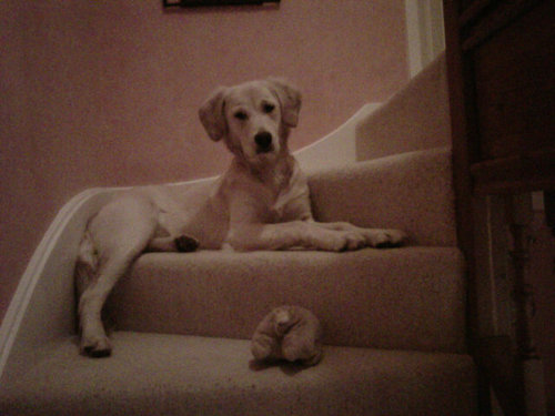 mssjway's profile picture. 