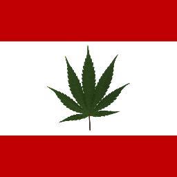 LebaneseStoner's profile picture. 