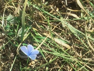 halftermeyer1's profile picture. 