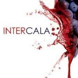 Intercala és una empresa simulada d'aprenentatge de gestió contable. comercial i RRH.