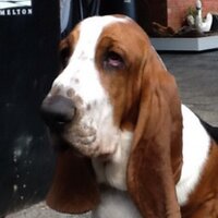 Doc (@yadellah) 's Twitter Profile