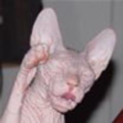 DebFrmHell's profile picture. People will generally accept facts as truth only if the facts agree with what they already believe. ~Andy Rooney