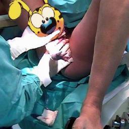 Bobcrestitah's profile picture. Soy una persona normal si me cortas sangro pero si me masturbas, lo prefiero. Cuando me ducho pongo el tapón para ver toda la mierda que tenia encima. Retuiteo.