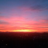 manuela gozzi (@gozzi_manuela) 's Twitter Profile