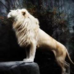 SusanBourgeois3's profile picture. Born again.  Baptized in Holy Spirit.  Waiting for Jesus coming. Married to Gregory Ola Paul Bourgeois.