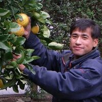 橋口 昭彦/Hashiguchi, Akihiko (@forafukiminera) 's Twitter Profile Photo 橋口 昭彦/Hashiguchi, Akihiko (@forafukiminera) 's Twitter Profile Photo