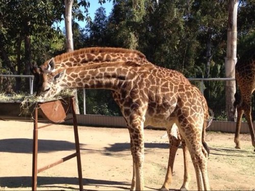 AlisonTurner7's profile picture. 