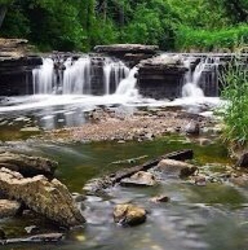 falehs3's profile picture. 