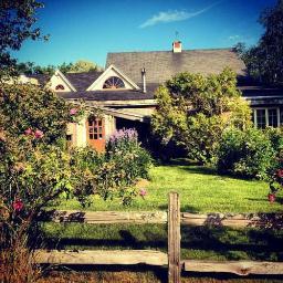 WoodShedNH's profile picture. 