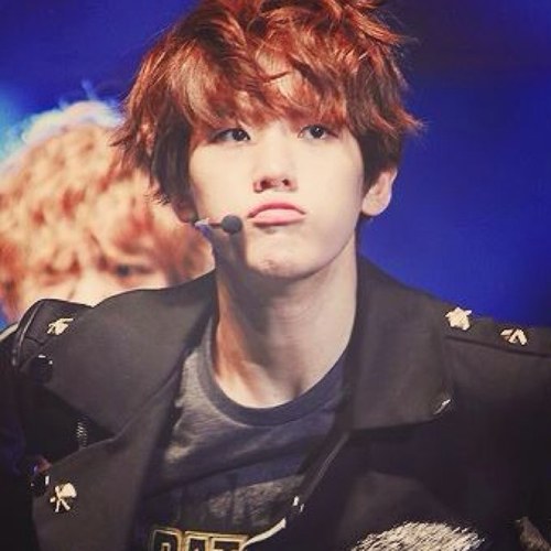 BAEKHYUNEXOKBOT Profile Picture