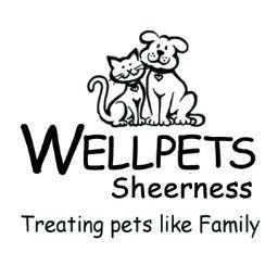 Wellpets Animal Hospital provides professional, dedicated veterinary care to achieve the highest standards of practice.