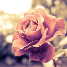 DoraMaar's profile picture. 
