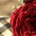 °`°،ذوووق،°`° (@com49soosoo) Twitter profile photo