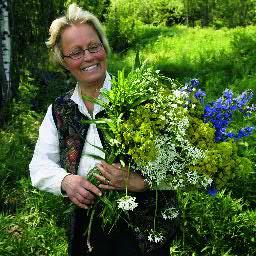 Vildkransen's profile picture. Sanker spiselige urter og andre nær.midler i norsk natur.(Wild food forager). Salg til gourmetrestauranter. Nyttevekstkurs. Markblomstdekoratør. Siviløkonom