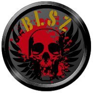 Bloodskullz1's profile picture. This is the official twitter for the clan Bloodskullz. We are a clan in Call of duty Black Ops II.