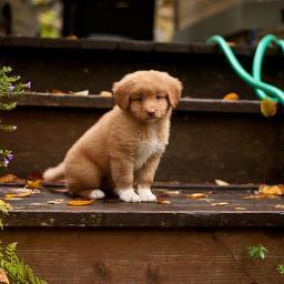 MisiDaire's profile picture. Author of What You Won't Do, Somebody Else Will a romance/erotica. http://t.co/P9lDoWvzUa