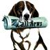 The Call News (@callnews) Twitter profile photo