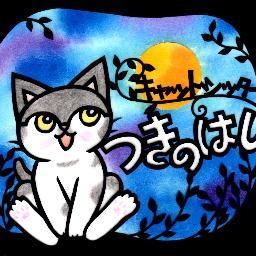 🐾栃木県のキャットシッターです。   エリア：栃木県宇都宮市、高根沢町、芳賀町、市貝町、茂木町、真岡市、上三川町、下野市、小山市、壬生町、茨城県結城市、筑西市。 人と人、人と猫とをつなぐ架け橋。 お客様がご不在の際に、ご自宅で猫さんがいつものように安心してお留守番できるようサポートします。