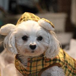mineさんのプロフィール画像