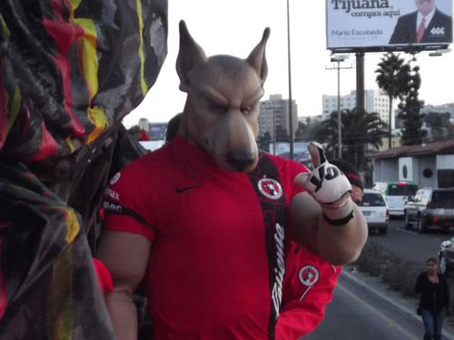 edgagog1's profile picture. 