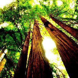 SEFF2013's profile picture. The official twitter account for the Saskatchewan  Eco-Network Environmental Film Festival 2013
http://t.co/maoRVQt3Bk