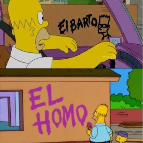 darioftf's profile picture. 