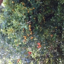 gene ballard - @genesoundtec - Twitter