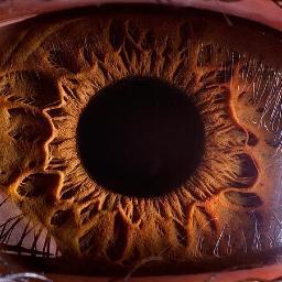 Club for Western University students interested in pursuing a career in Optometry