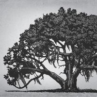 The Southern Review (@southern_review) 's Twitter Profile