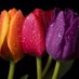 الهنوف (@retiig) Twitter profile photo