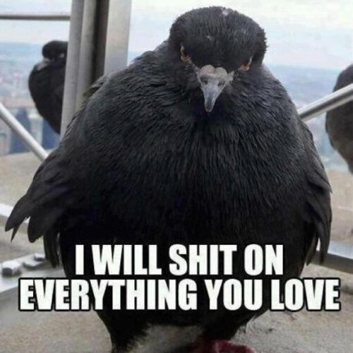 chrisovalentino's profile picture. 