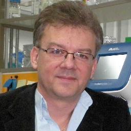 Dimitris Kardassis Profile