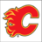 Flamesfan1001's profile image