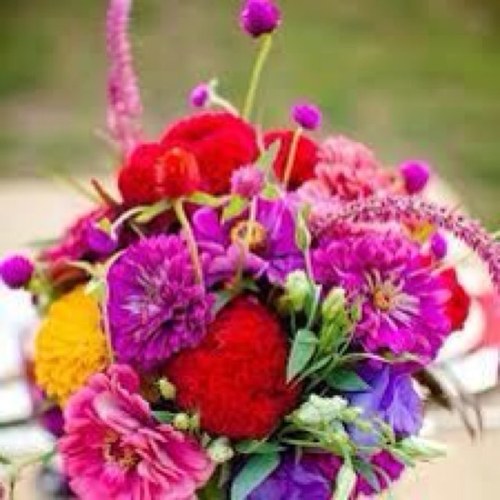 fatemk8's profile picture. 