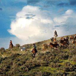 MediaSteamboat's profile picture. Sharing the #Steamboat love with the world. Tweets by Maren McCutchan, maren@steamboatchamber.com