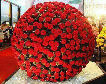 WafaAbmoghli's profile picture. 